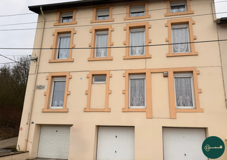 photo_8a9ed4ccaf8f45bbd36a4c79dbbaef85-768x541 Immeuble Frouard 275m2