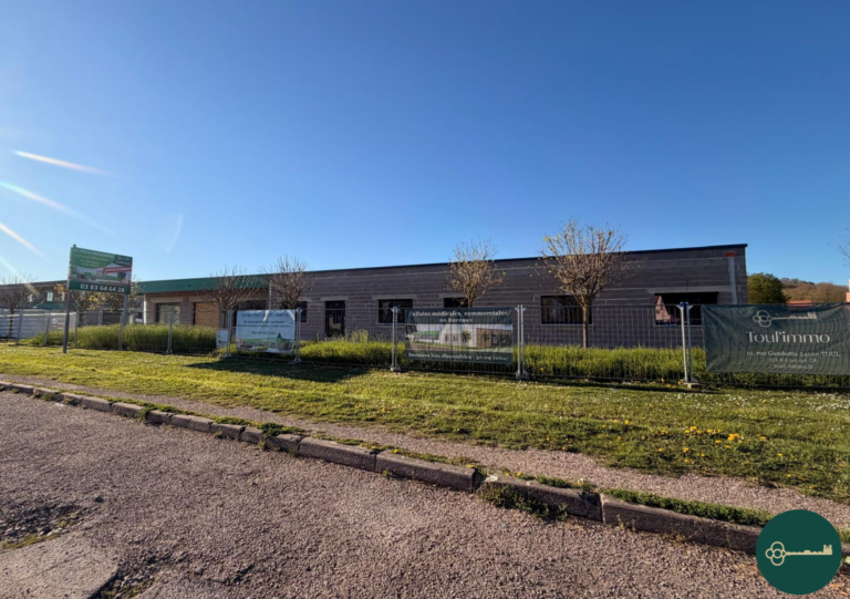 photo_aef80c2c169f905769fc14081fb63913-768x541 Local Professionnel Ecrouves 50 m2  